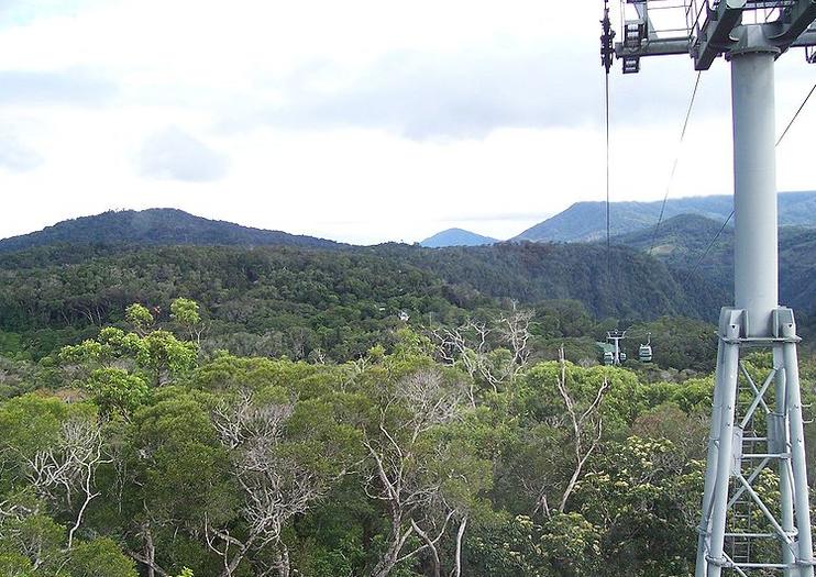 Skyrail Rainforest Cableway
